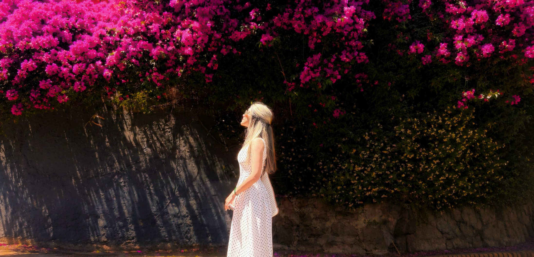 Work by Parastoo Film